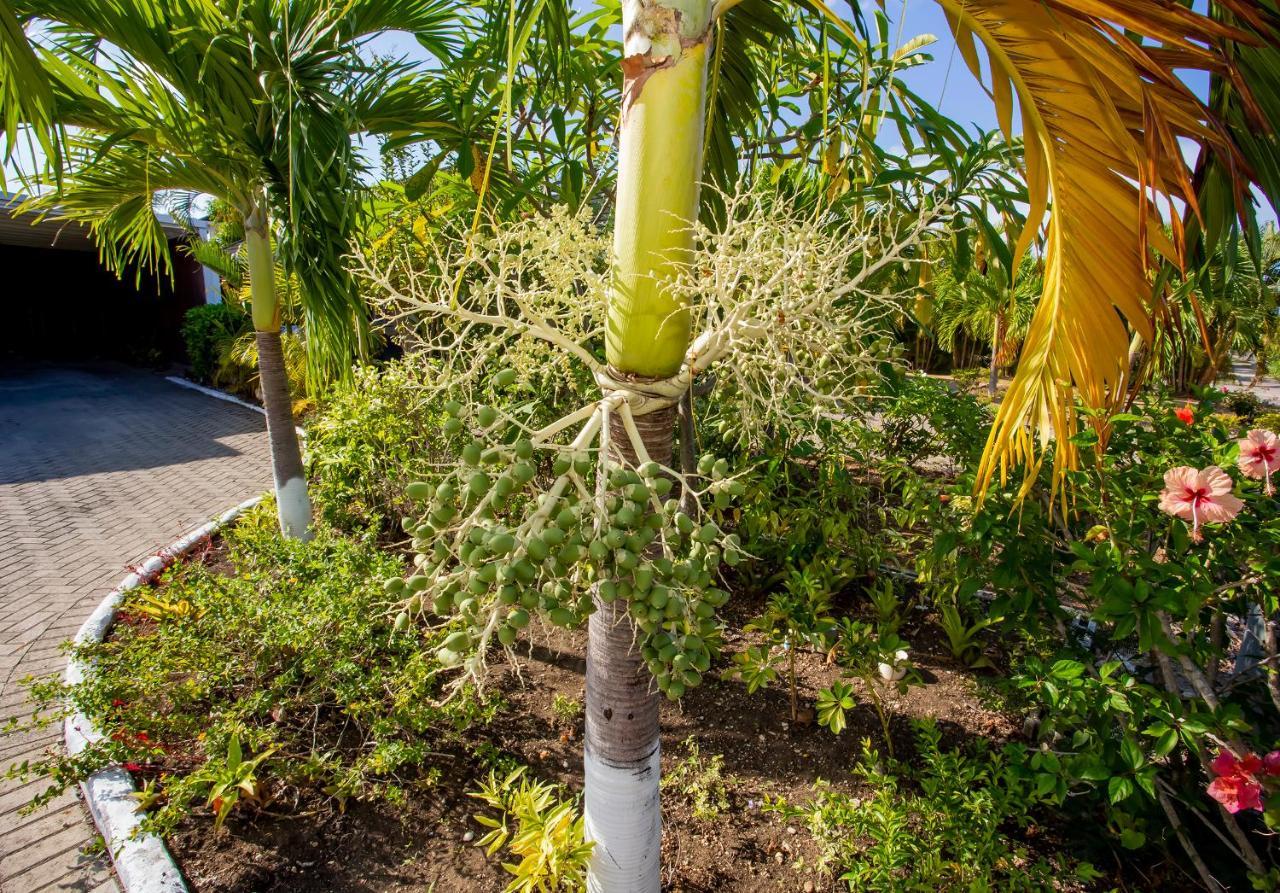 Nature'S Choice Home Richmond Palms, Jamaica Bagian luar foto