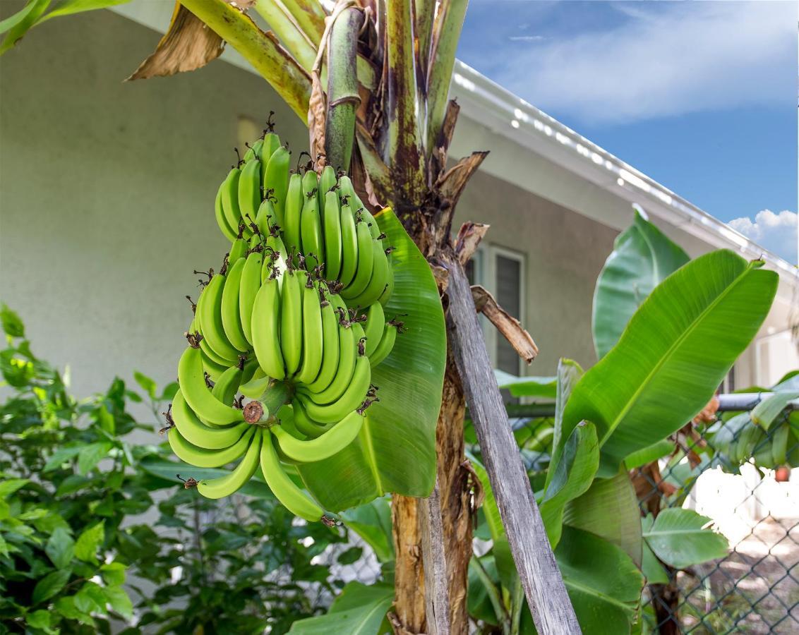 Nature'S Choice Home Richmond Palms, Jamaica Bagian luar foto